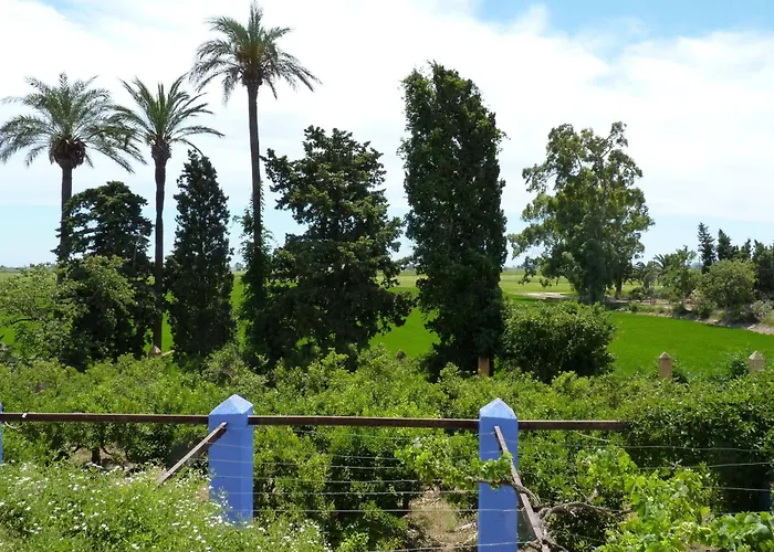 Mas De Bernis 1888 * L'Aldea